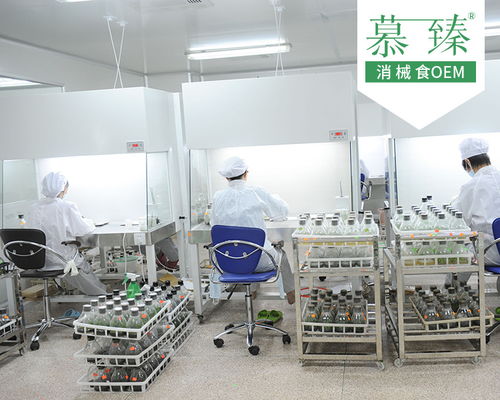 成熟配方魔芋粉生產(chǎn)工廠加工項目 慕臻制作商與五金零售的協(xié)同發(fā)展