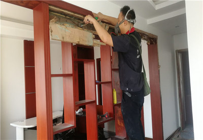 廣州白蟻防治公司 專業服務，守護家園